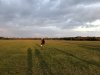Lange Schatten