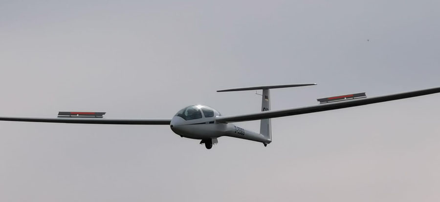 DG1001S